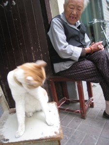 小猫